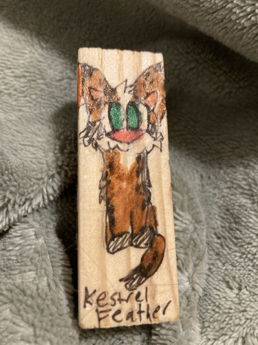 F4351F36 A9BC 429C 8C88 A2365DABA1CE.jpg