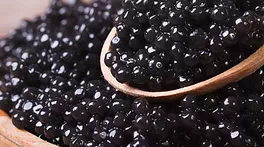 beluga caviar.png