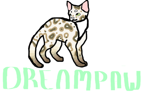 Screenshot 2022 06 18 8.05.27 PM.png