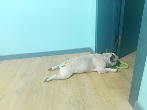 IMG20220709214904 01.jpg