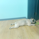 IMG20220709214904 01