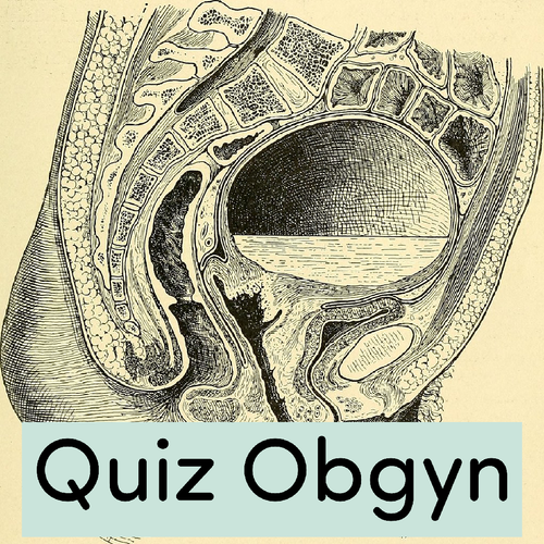 SGN 07 13 2022 1657682435437.png