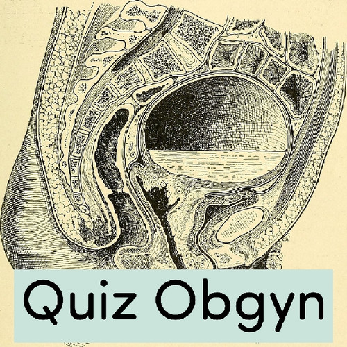 SGN 07 13 2022 1657683165337.jpg