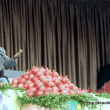 ahmadinejaz1390ferdows4