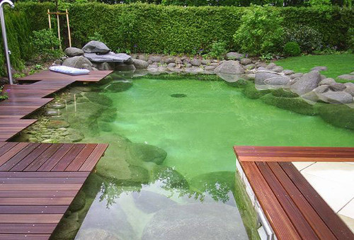 Natural Pool Builder Whistler.jpg