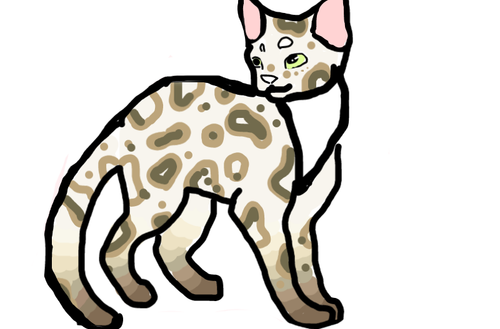 Screenshot 2022 07 16 3.01.24 PM.png