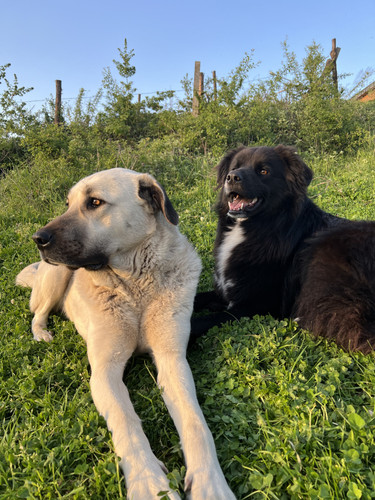 1348B886 7AD8 4EFD ADD0 74BBDB5EE9DF.jpg