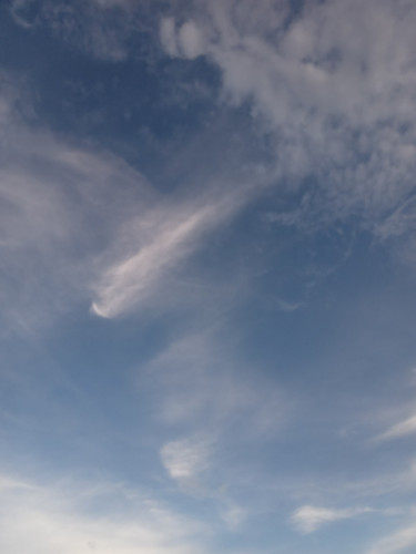 20220629 171049036.jpg