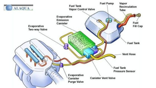 Evaporative system