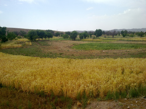 20130513786.jpg