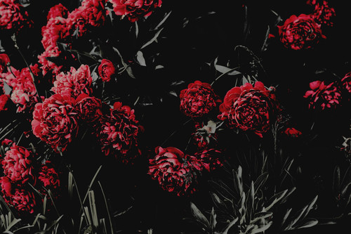 D60C83E9 6CDC 4FC2 94A8 CE855BA2E168.jpg