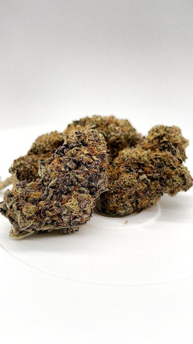 Granddaddy Gelato.jpg