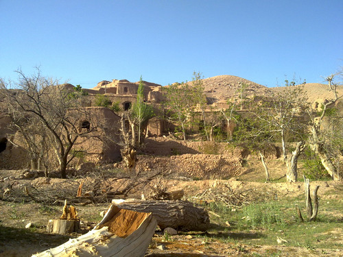 201104191000.jpg