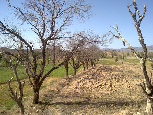 20110419998.jpg