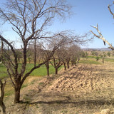 20110419998