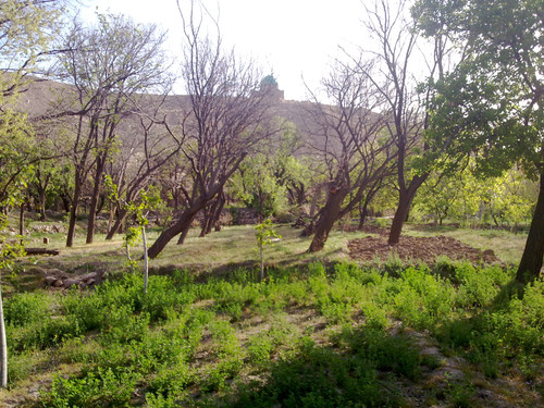 201104191001.jpg