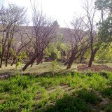 201104191001