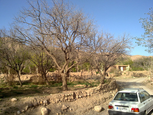 201104191002.jpg