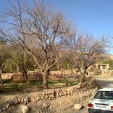 201104191002