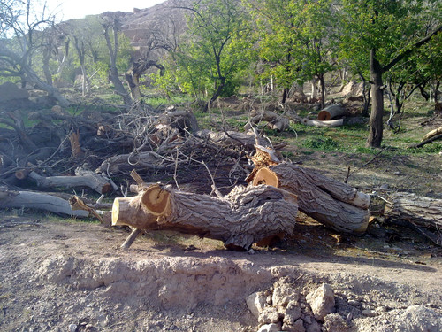 201104191004.jpg