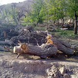 201104191004