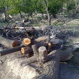 201104191005