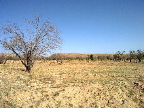 20110419993.jpg