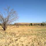 20110419993
