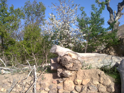 201104191013.jpg