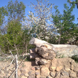 201104191013
