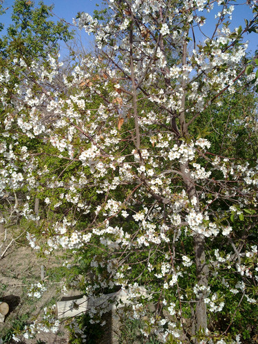 201104191012.jpg