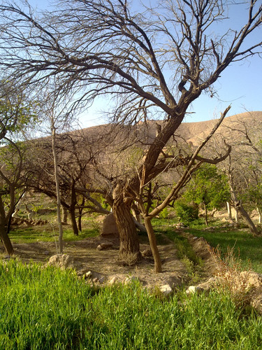 201104191003.jpg