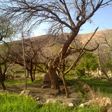 201104191003