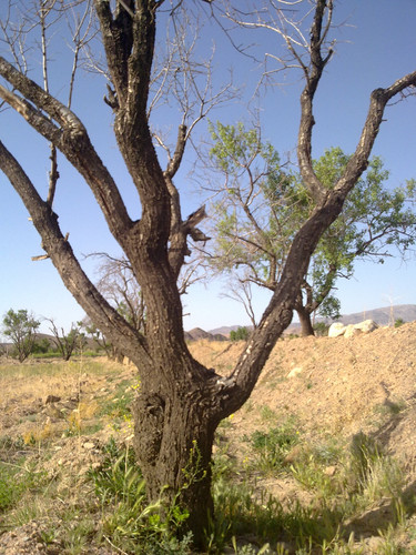 20110419997.jpg