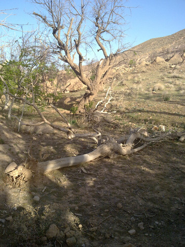 201104191014.jpg