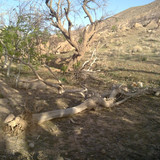 201104191014