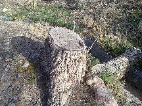 201104191019.jpg