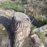 201104191019