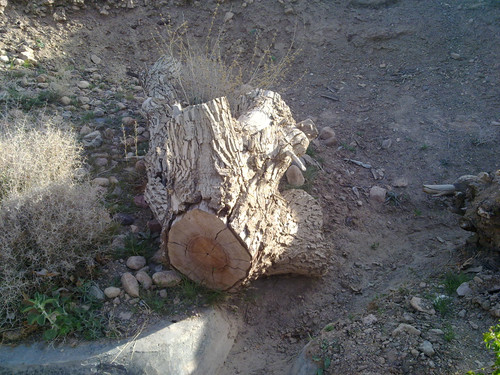 201104191020.jpg