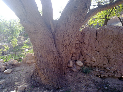 201104191023.jpg