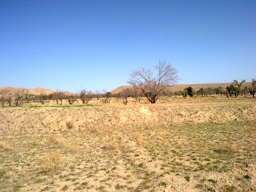20110419992.jpg