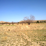 20110419992