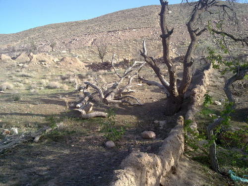201104191015.jpg