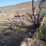 201104191015