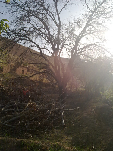 201104191016.jpg