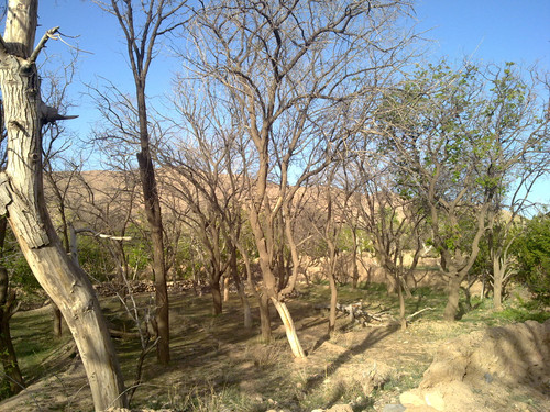 201104191018.jpg