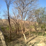 201104191018