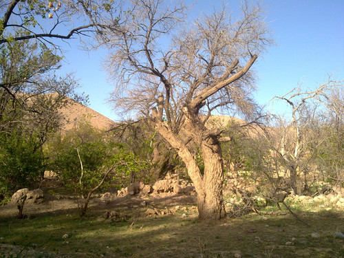 201104191021.jpg