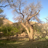 201104191021