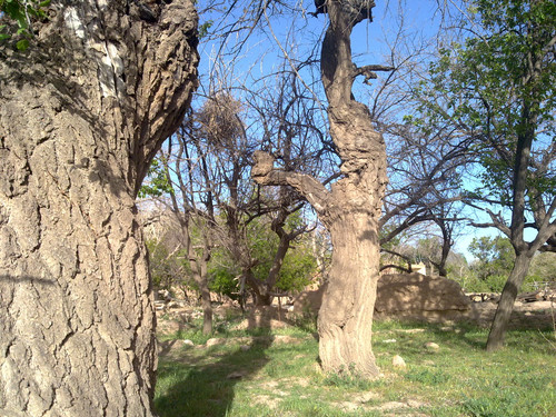 201104191009.jpg